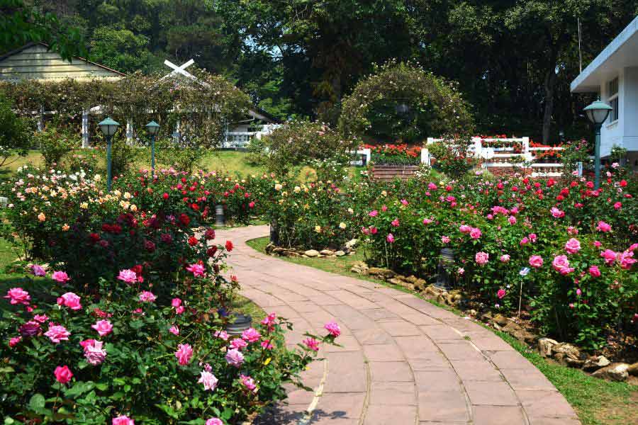 ผังทางเดิน