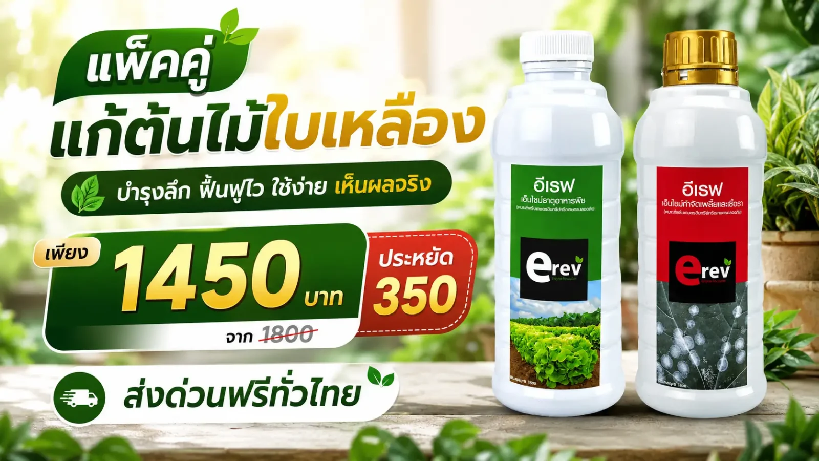 อีเรฟแพ็คคู่-แก้ต้นไม้ใบเหลือง